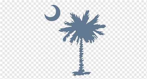 Easley High School Irmo Myrtle Beach Bendera South Carolina, sabal palm ...