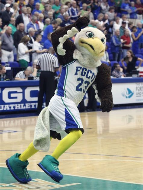 FGCU's Azul eyes three-peat in mascot contest