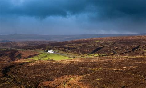 WILDLIFE ON DARTMOOR - Devon and Moor Guided Tours