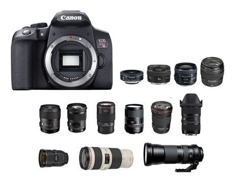 Best Lenses for Canon EOS Rebel T8i in 2023 - Camera Times