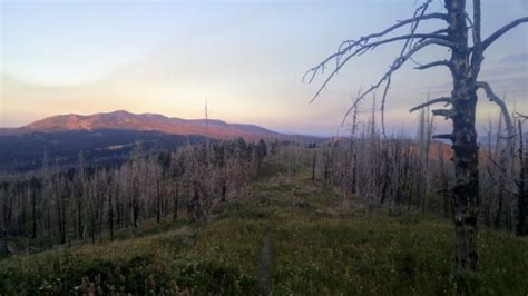 Along the Idaho and Montana Border - The Trek