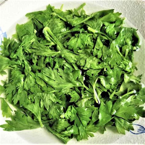 Simple Celery leaves Salad Recipe- Easyfoodcook