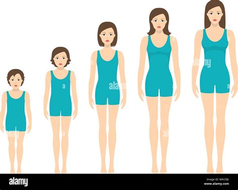 Women's body proportions changing with age. Girl's body growth stages ...