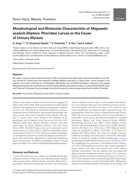 (PDF) Morphological and Molecular Characteristic of Megaselia scalaris (Diptera: Phoridae ...