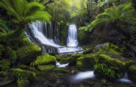 Download Moss Green Tropical Forest Nature Waterfall HD Wallpaper