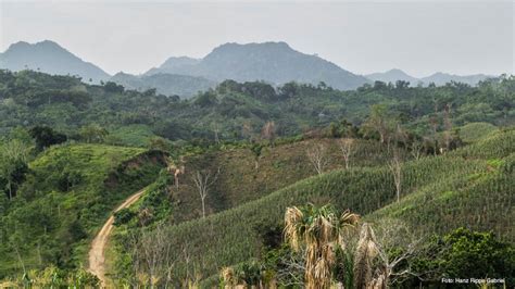 This is post-conflict rural Colombia | Uniandes