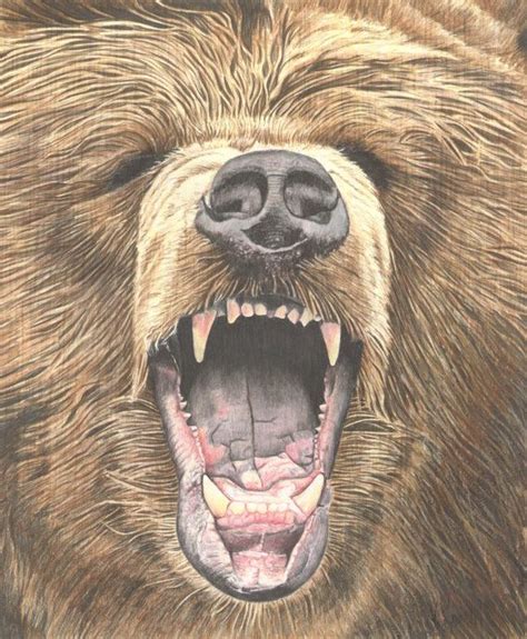 Growling Grizzly Bear Colored Pencil Drawing Illustrated by | Etsy in ...