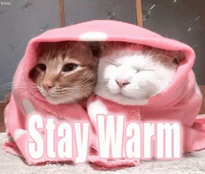 Cold Weather GIF - Cold Weather Is - Discover & Share GIFs