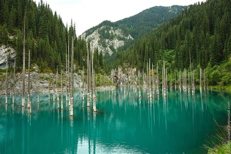 Sunken Forest – Kaindy Lake · Kazakhstan travel and tourism blog