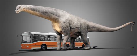 Damir G Martin - Argentinosaurus vs Bus