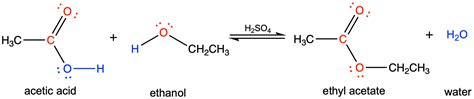 M12Q6: Condensation and Hydrolysis Reactions – Chem 103/104 Resource Book