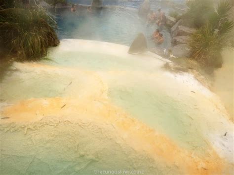 Wairakei Terraces Walkway | thecuriouskiwi NZ travel blog