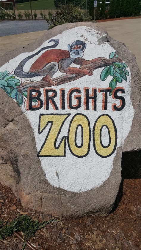 Brights Zoo ~ Nourishing My Scholar