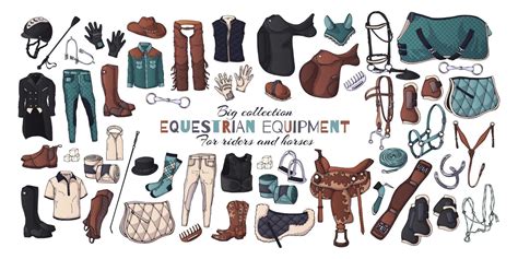 Vector illustrations on the equestrian equipment theme. 2236831 Vector Art at Vecteezy