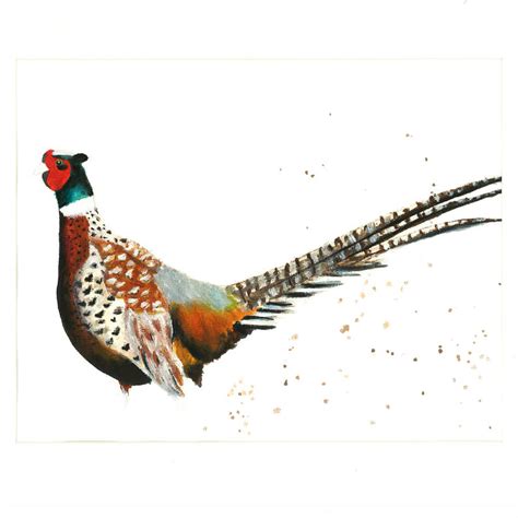 pheasant print by rhiannon findlay art | notonthehighstreet.com