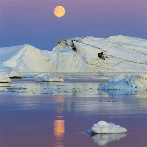 Polar Regions Earth Icebergs Various Forms Sizes Climatic Changes ...