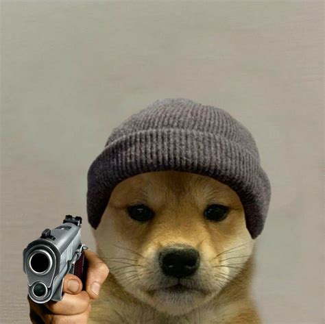 Shiba Doge Meme Wallpaper - Doge Wallpaper Iphone | Doge meme, Doge ...