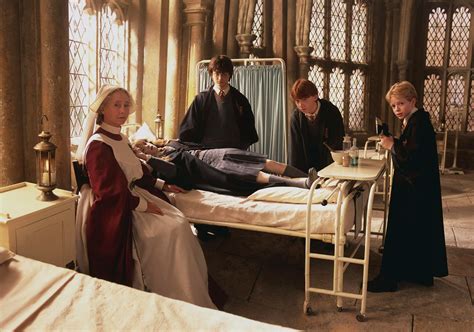 Harry Potter And The Chamber Of Secrets Hermione Petrified Scene