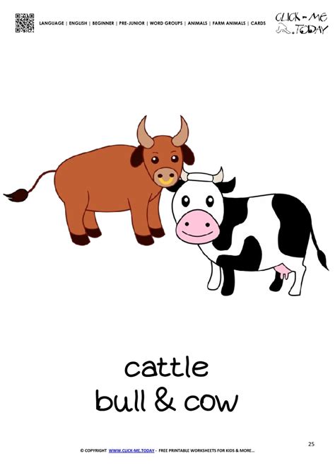 Farm animal flashcard Cows - Printable card of Cows