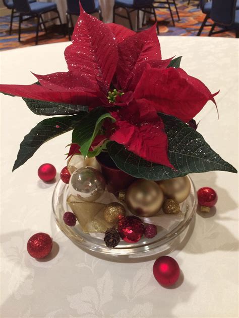 Poinsettia centerpieces $6 each. Materials from Trader Joes and ...