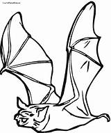 Realistic Bat Coloring Pages At GetColoringscom  Free Printable sketch template