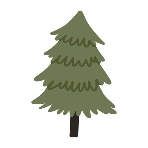 Fir tree. Hand drawn Christmas winter illustration 14563168 Vector Art at Vecteezy