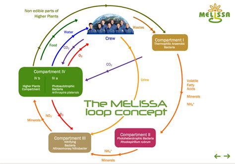 Creating a self-contained ecosystem to sustain life on Mars