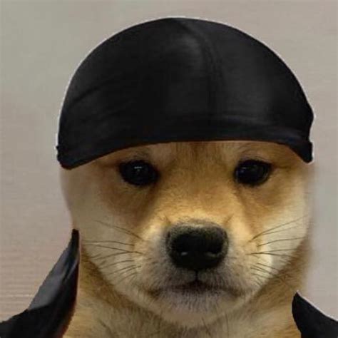 The Best 8 Pfp Beanie Dog With Hat Meme - drawareinterestjibril