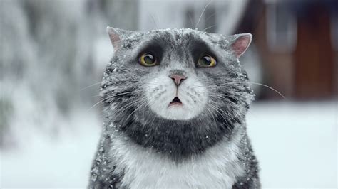 Sainsbury's: Mog’s Christmas Calamity - DAILY COMMERCIALS