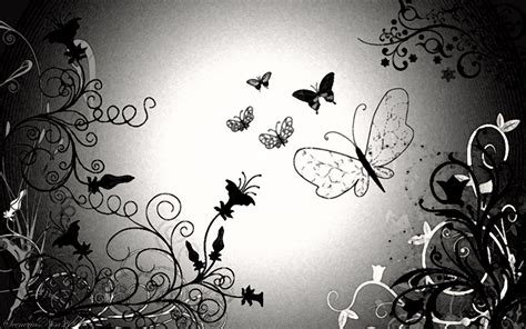 Black Butterfly Wallpapers - Wallpaper Cave