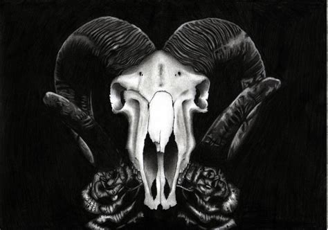 Goat Skull by NimhShaman on DeviantArt