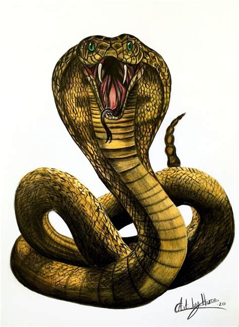 Prints Art & Collectibles Cobra Art Print Snake Art Print Snake Print Cobra Poster King Cobra ...