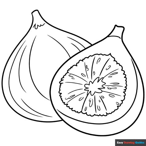 Fig Coloring Page | Easy Drawing Guides