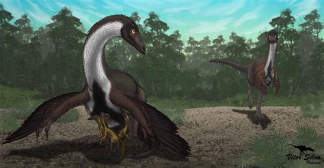 ornithomimus | Ornithomimus, Vitor Silva | Contour feathers, Illustration techniques, Animal ...