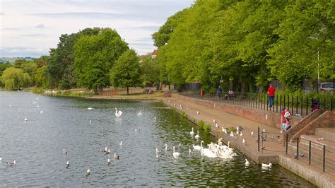 Roath Park in Cardiff, Wales | Expedia.ca