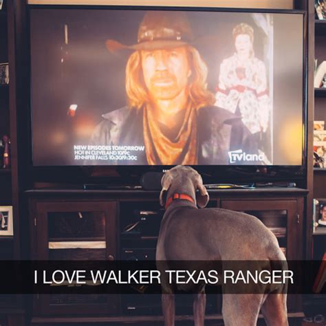 walker texas ranger on Tumblr