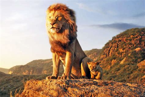 Barry Jenkins says Mufasa prequel will have familiar faces, musical ...