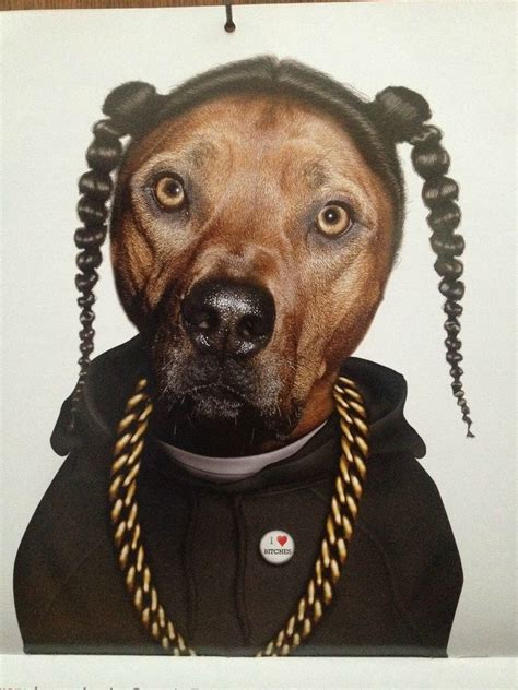 Snoop Dogg Dog : r/funny