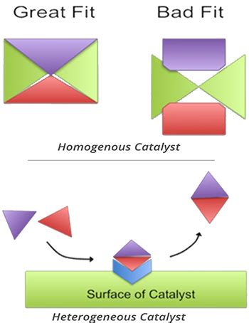 Catalysts: Definition, Types & Examples - Video & Lesson Transcript ...