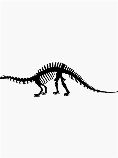 "Brontosaurus skeleton" Sticker by MordaxFurritus | Redbubble