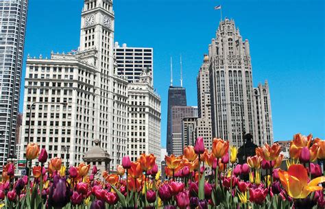 Shopping on The Magnificent Mile | Choose Chicago