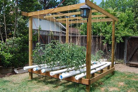 5 Creative Vegetable Garden Ideas | Indoor vegetable gardening, Hydroponic gardening, Hydroponics