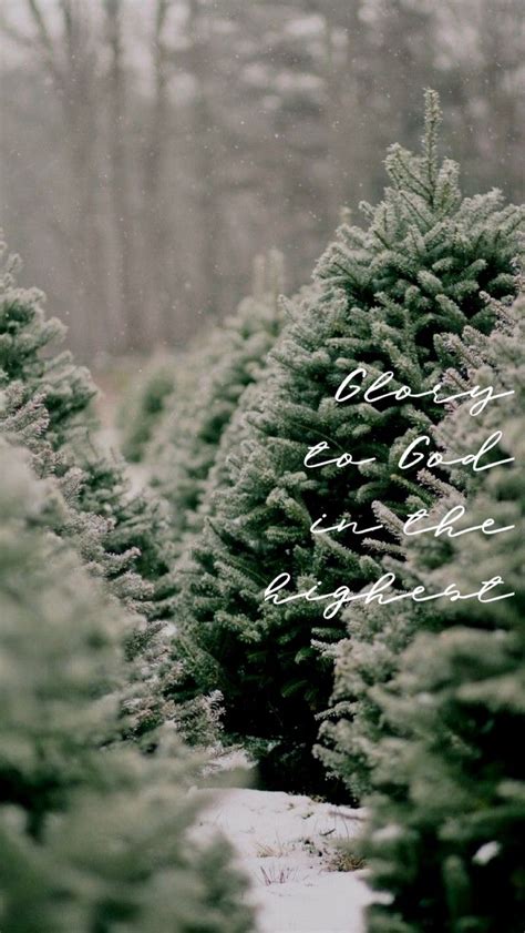 christmas bible verse background/wallpaper | Christmas tree photography ...