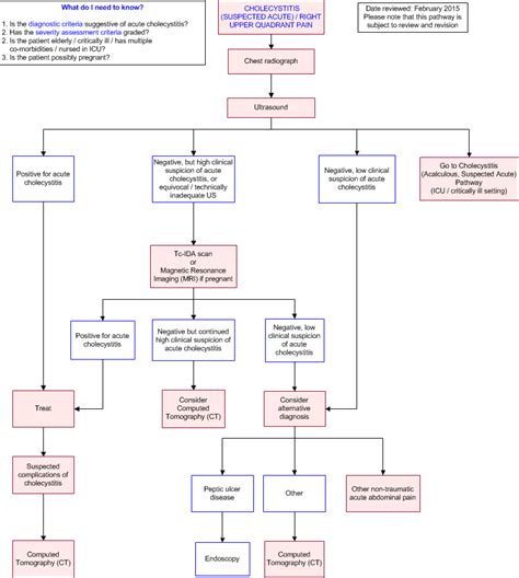 Flowcharts For The Management Of Acute Cholecystitis A Open I | The Best Porn Website