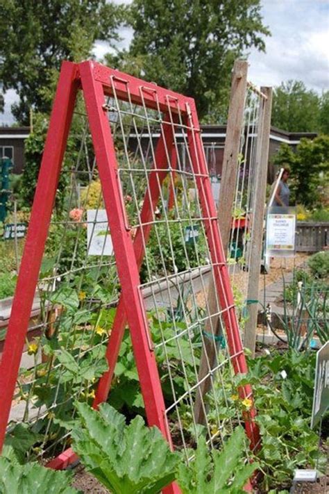 24 Easy DIY Garden Trellis Ideas & Plant Structures - A Piece of ...