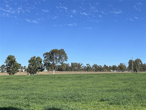 Mundubbera QLD 4626 - Farm for Sale | Domain