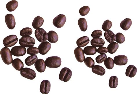 Download Coffee Beans PNG Image for Free