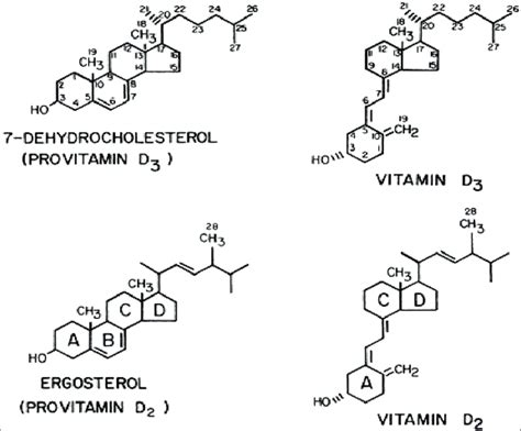 Structure of vitamin D3 and D2 and their respective precursors ...