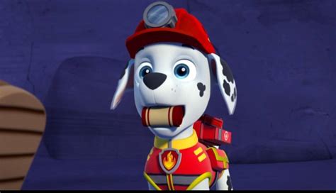 Marshall, the Dalmatian - PAW Patrol Photo (40125814) - Fanpop