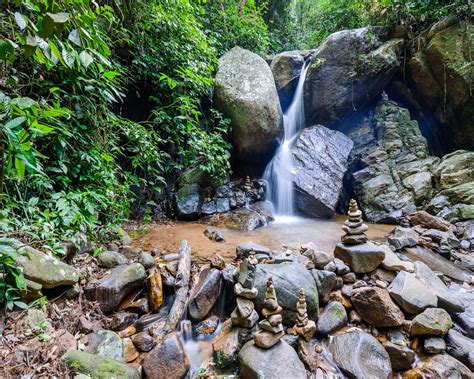 Hidden trails hike in Tijuca forest from Rio de Janeiro | OutdoorTrip